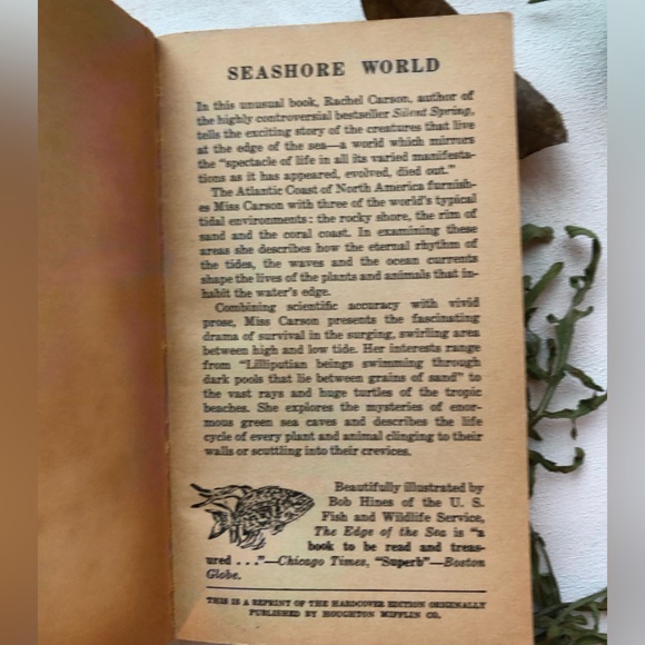 The Edge Of The Sea by Rachel Carson, w/ 160+ illustrations by Bob Hines, 1955 - Picture 11 of 15